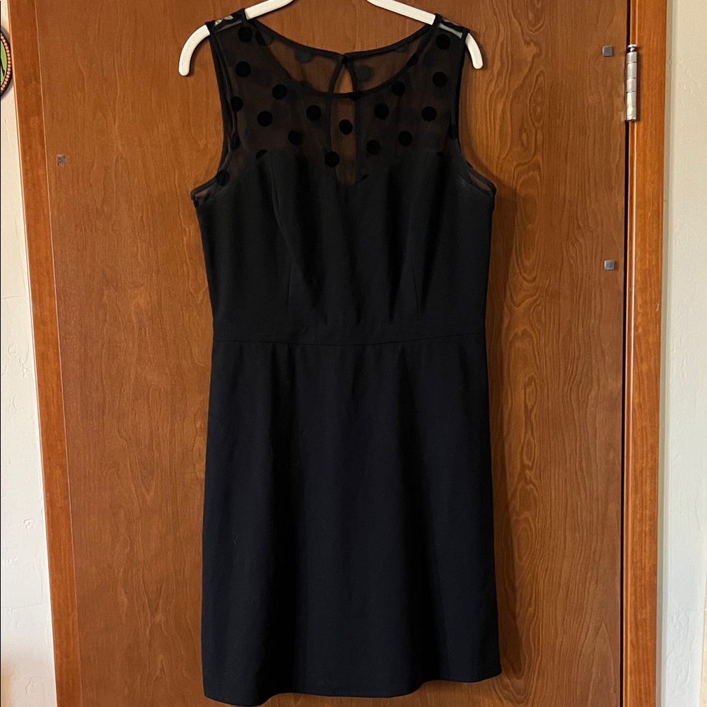 Elegant Black Sleeveless Dress